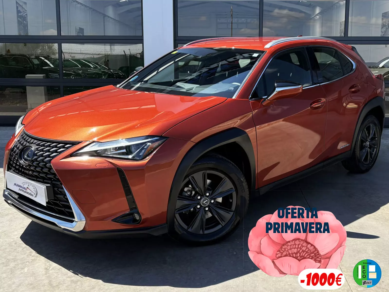 UX 250h 2.0 Business 184cv Hybrid