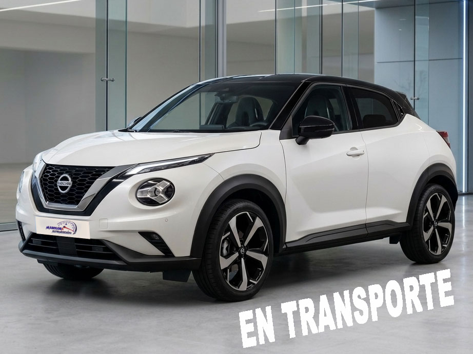 Juke 1.0 DIG-T 114CV Tekna